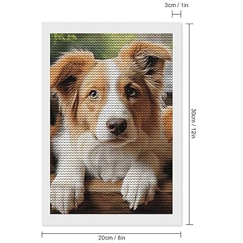 Amazon.com: QMNVBDS Cute Dogs Animal Diamond Painting